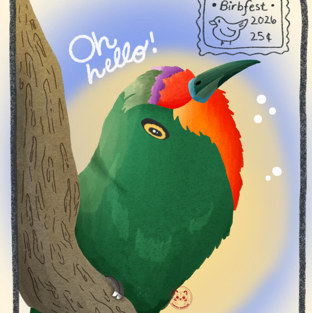 Oh, Hello! A bright green bird with a red-orange crown peeks from behind a tree trunk in a postcard-style illustration, with the handwritten words “Oh, hello!” and a Birbfest 2026 stamp in the corner.